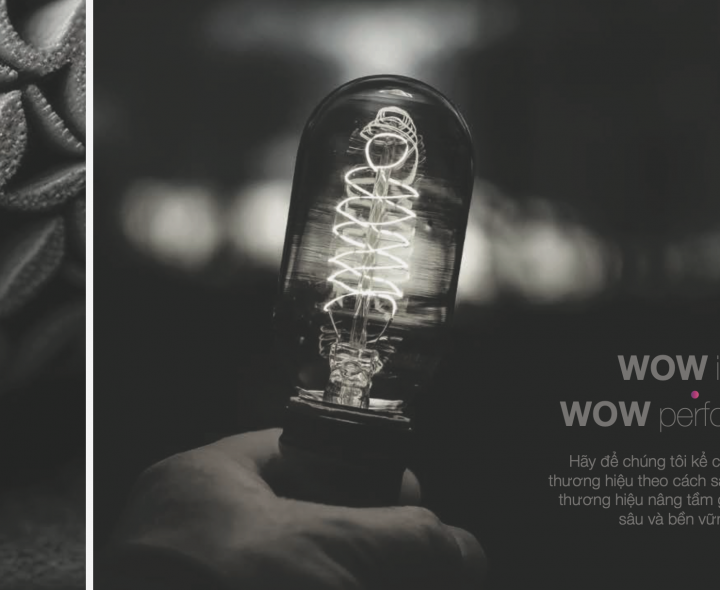 2025: Khi Sự Kiện Doanh Nghiệp Trở Thành Trải Nghiệm Độc Bản