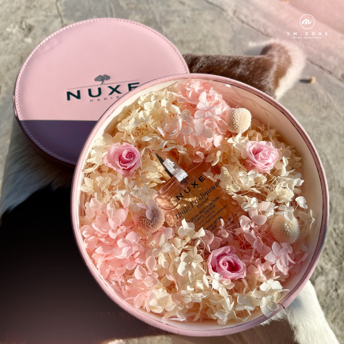 Dự án tiêu biểu