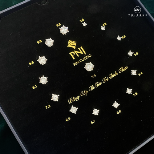 Dự án tiêu biểu