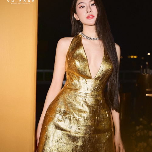 Dự án tiêu biểu