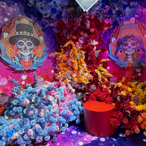 Dự án tiêu biểu